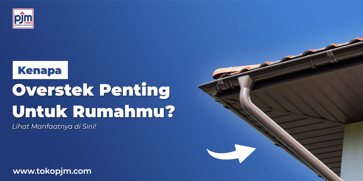 The Importance of Using Eaves (Overstek) in Buildings: Function, Benefits, and Why You Should Use Them