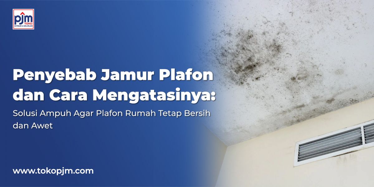 Causes of Ceiling Mold and How to Fix It: Effective Solutions to Keep Your Ceilings Clean and Durable