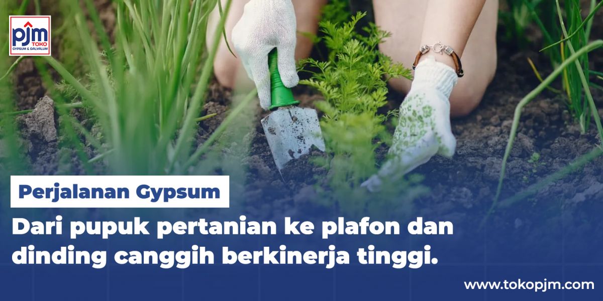 Perjalanan Gypsum : Dari Pupuk Pertanian ke Plafon dan Dinding Canggih Berkinerja Tinggi.