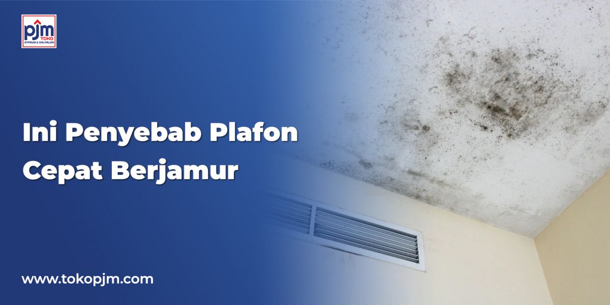 Ini Penyebab Plafon Cepat Berjamur