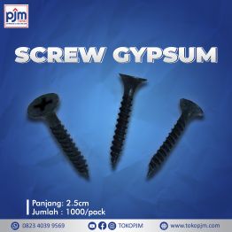  screw gypsum 2,5cm